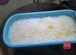 酸辣白菜便当的做法图解15