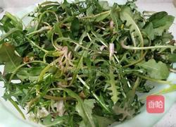 凉拌蒲公英的做法图解2