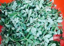 凉拌马齿苋的做法图解1