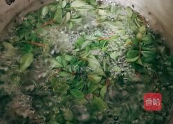 凉拌马齿苋的做法图解2