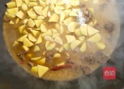 铁锅炖大鹅的做法图解10