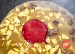 铁锅炖大鹅的做法图解11