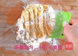 斯琪沙饼干的做法图解9