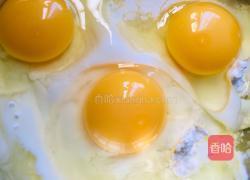 红枣酸奶糕的做法图解2