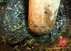 擂茶的做法图解6