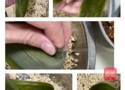 大米肉粽子的做法图解9