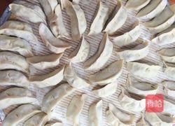 韭菜鸡蛋饺子的做法图解7