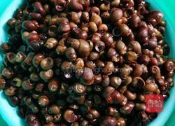 酸笋炒螺的做法图解4