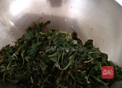 蒲公英茶的做法图解2