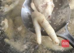 鸡翅煲的做法图解5