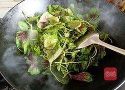 辣炒苋菜的做法图解4