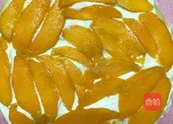 芒果千层蛋糕的做法图解20