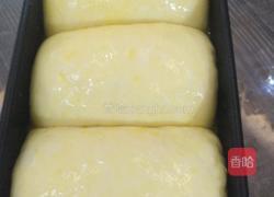 超级柔软的北海道吐司的做法图解8
