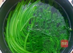 白灼茼蒿的做法图解5