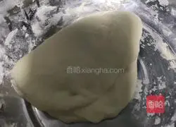 How to make spinach spring rolls 1