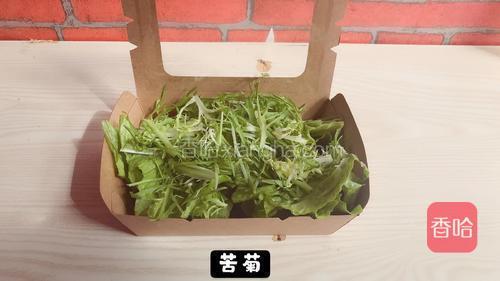 苦菊