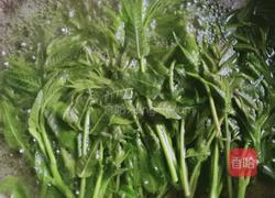 香椿芽煎蛋饼的做法图解3