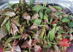 炝拌香椿的做法图解1