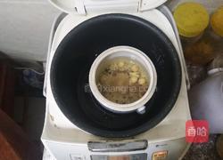 桂圆莲子茶的做法图解3