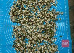 蒸槐花的做法图解1