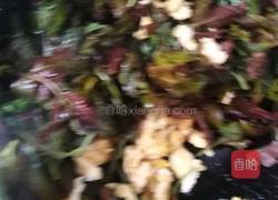 香椿炒鸡蛋的做法图解5