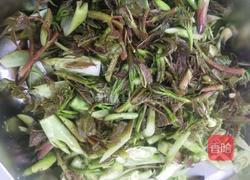 火腿炒刺老芽的做法图解4