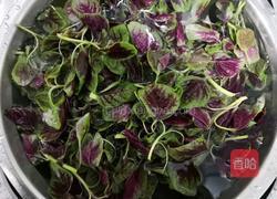 蒜香虾皮红苋的做法图解1