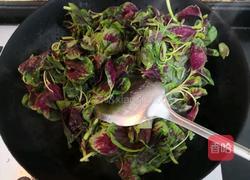 蒜香虾皮红苋的做法图解9