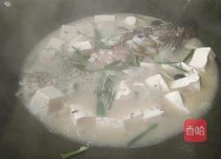 喝汤必喝的♥鲫鱼豆腐汤的做法图解7