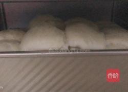 波兰种超软奶香吐司的做法图解16