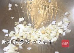 西红柿烧豆腐的做法图解3
