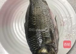 海带豆腐煲鲫鱼的做法图解1