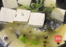 海带豆腐煲鲫鱼的做法图解4