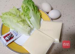 芝士煎蛋手抓饼的做法图解1