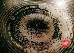 莴苣炖鱼头的做法图解7