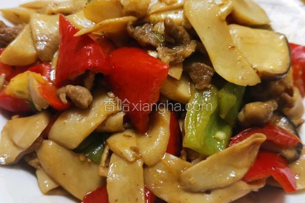 鸡腿菇炒肉