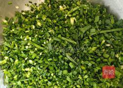 韭菜鸡蛋饺子的做法图解6