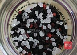 桑椹酒的做法图解4