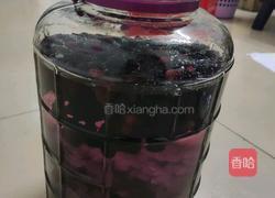 桑椹酒的做法图解6