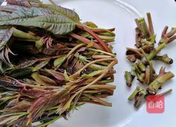 凉拌香椿的做法图解2