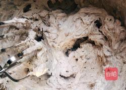 奥利奥咸奶油的做法图解4