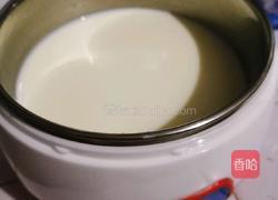 纯手工自制酸奶的做法图解3