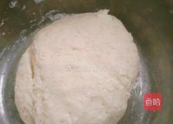 白白胖胖馒头(新手请进)的做法图解3