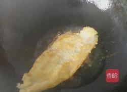 红烧巴沙鱼（龙利鱼）的做法图解2