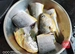 香煎黄花鱼的做法图解1