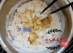 老婆饼家常做法的做法图解14