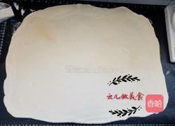 老婆饼家常做法的做法图解17