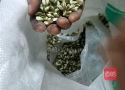 清甜槐花饼的做法图解1