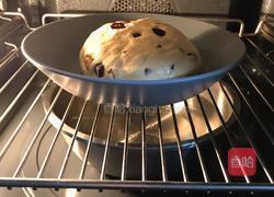 中种软欧包,这款面包口感超软,是我最喜欢的口感的做法图解8