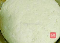 蒸花卷的做法图解4